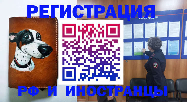 временная регистрация законно в Завитинске